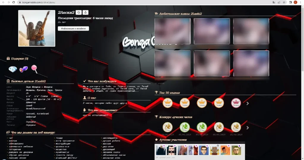 Скриншот профиля 2LASKI